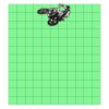11x12 DTF Transfer Thumbnail