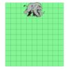 11x12 DTF Transfer Thumbnail