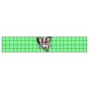 22" x 4" DTF Transfer Thumbnail