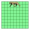 9" X 9" DTF Transfer Thumbnail
