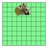 9" X 9" DTF Transfer Thumbnail