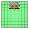 9" X 9" DTF Transfer Thumbnail