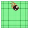 11" X 11" DTF Transfer Thumbnail