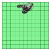 11" X 11" DTF Transfer Thumbnail