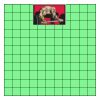 11" X 11" DTF Transfer Thumbnail