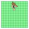 11" X 11" DTF Transfer Thumbnail