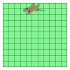 11" X 11" DTF Transfer Thumbnail