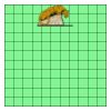 11" X 11" DTF Transfer Thumbnail