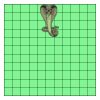 11" X 11" DTF Transfer Thumbnail